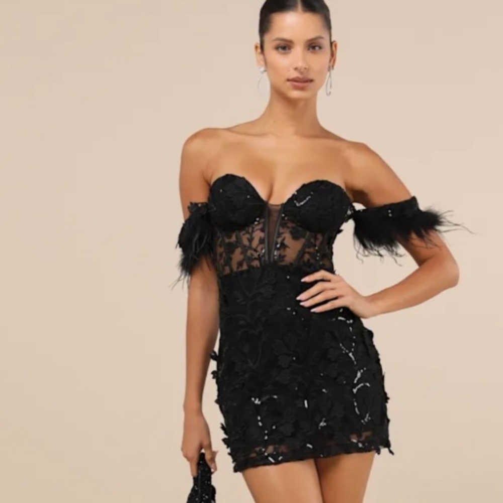 🎉 Midnight Sparkle Black Embroidered Feather Bustier Mini Dress
